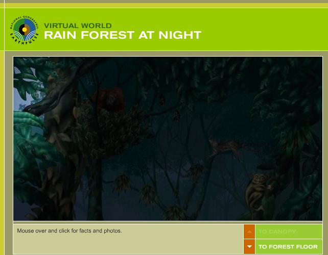 virtual rainforest screenshot